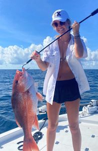 Mangrove red snapper, 27 inches, fishing in FL