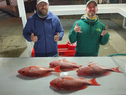 Two-spot red snapper fish caught in Panama City Beach