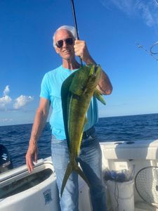 Dolphinfish fishing in Jupiter, FL