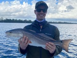 Redfish in Jupiter, FL