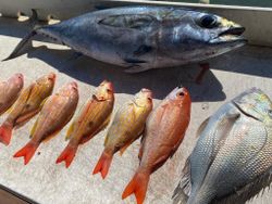 Jupiter inlet fishing charters