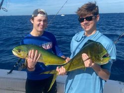 Mahi Mahi in Jupiter, FL