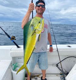 Mahi Mahi in Atlantic Ocean