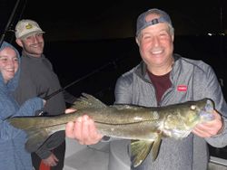 Snook in Atlantic Ocean