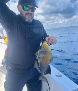 One angler fishing in Jupiter
