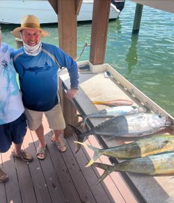 Three blackfin tuna in the water near Jupiter