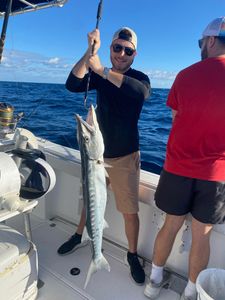 Great Barracuda in Jupiter, FL