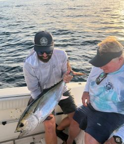 Yellowfin tuna caught while fishing in Jupiter