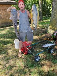 Best Monkey Island Catfishing 