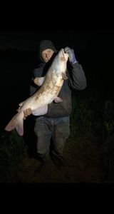 Big Catfish Caught in Oklahoma