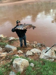 Reel Catfish in Oklahoma