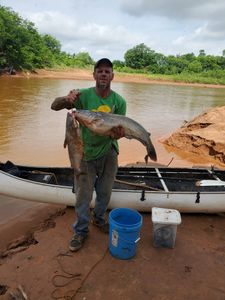 Two big fish caught while fishing in OK