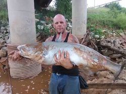 One fisherman reeling in a 39-inch catch on Monkey Island