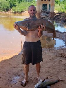 Two big fish caught while fishing on Monkey Island