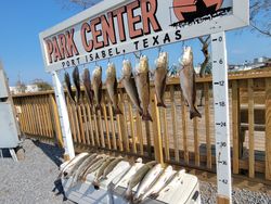 Red Drum Delight - Texas Fishing