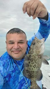 Grouper Fishing In Port Isabel, Tx