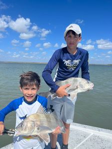 Black Drum Fishing In Port Isabel, TX