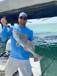 Port Isabel's Top Drum Fishing