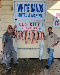 4 fish caught in Port Isabel