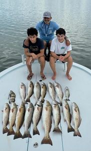 11 redfish caught in Port Isabel