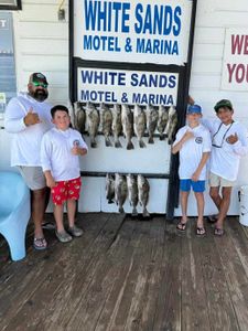 Two small fish caught in Texas