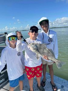 Caught a big black drum fish in TX