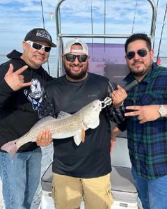 Redfish caught fishing in TX