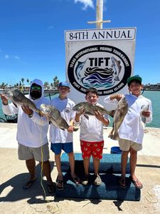 Three black drums caught while fishing in Port Isabel