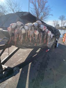 Best fishing adventure at Port Clinton