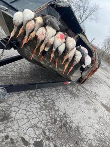 Fishing trip in OH