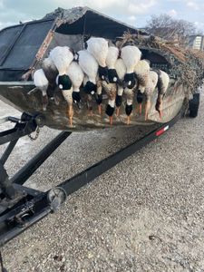 Fishing in the beautiful city of Port Clinton