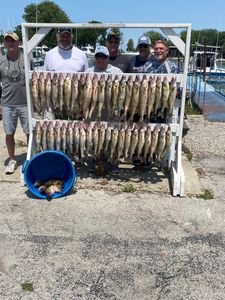 Large display of freshly caught fish hanging on cleaning station rack at Port Clinton OH marina