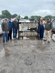 Fishing display board showing multiple caught fish at Port Clinton OH marina