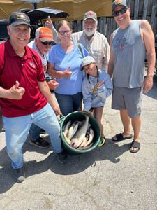 Group of anglers displaying their catch of fish in a green bucket at Port Clinton OH