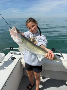 Walleye caught fishing on Lake Erie near Port Clinton Ohio