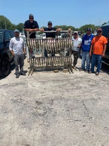 Large catch of walleye fish displayed on wooden rack at Port Clinton OH marina