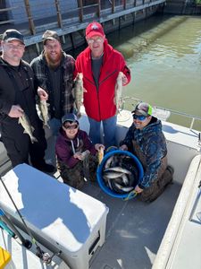 Successful walleye fishing trip on boat in Port Clinton OH with multiple fish caught