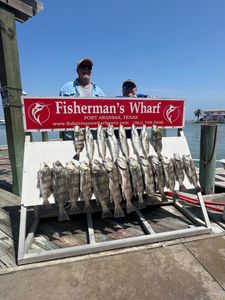 Fishing catch display showing Black Drum and Speckled Trout at Fisherman's Wharf in Rockport TX