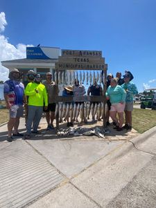 Large display of caught fish hanging at Port Aransas Texas Municipal Harbor fish cleaning station