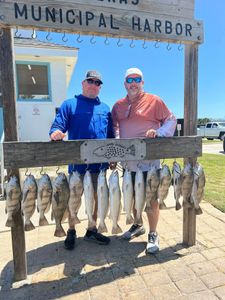 Fishing catch of black drum and speckled trout displayed at Rockport TX municipal harbor