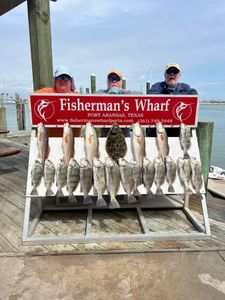 Successful fishing trip display showing Southern Flounder, Redfish, and Black Drum catch at Fisherman's Wharf in Rockport TX