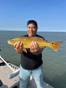 Redfish caught while fishing in Rockport TX waters