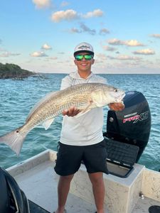 Redfish catch displayed on fishing boat in Rockport TX waters