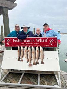 Five redfish displayed on cleaning station at Fisherman's Wharf in Rockport TX