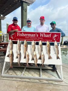 Display of ten redfish caught during fishing trip in Rockport TX at marina dock