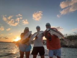 Three anglers displaying caught redfish during sunset fishing trip in Rockport TX