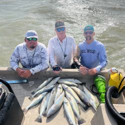 Successful speckled trout fishing trip in Rockport TX with multiple fish displayed on boat deck