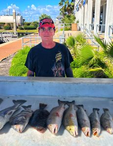 5 rainbow trout caught in TX