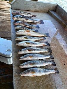6 fishing tour in TX