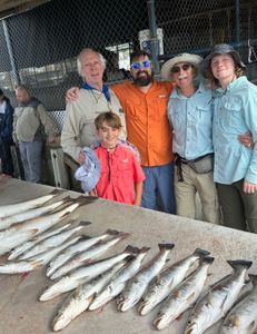 Three large fish caught during a fishing tour in Hitchcock